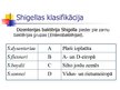 Presentations 'Shigella - dizentērijas baktērija', 2.