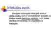 Presentations 'Shigella - dizentērijas baktērija', 8.