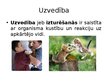 Presentations 'Sociālās attiecības un uzvedība', 10.