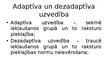 Presentations 'Sociālās attiecības un uzvedība', 11.