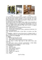 Research Papers 'Darba aizsardzības instrukcija būvstrādniekam', 18.