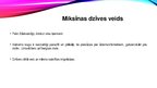 Presentations 'Bezžokļaiņi', 15.