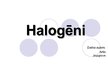 Presentations 'Halogēni', 1.