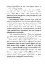 Research Papers 'Portatīvie rokas elektroinstrumenti', 8.