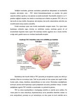 Research Papers 'Marihuāna un tās iedarbības uz centrālo nervu sistēmu', 6.