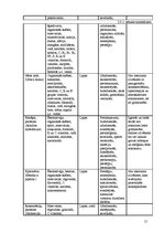 Research Papers 'Medikamenti un zāļu tējas imunitātes stiprināšanai', 15.