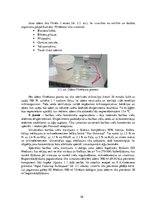 Term Papers 'Vides parametru loma "Ulva intestinalis"
 kultivēšanā laboratorijas apstākļos', 36.