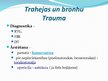 Presentations 'Plaušu traumas', 3.