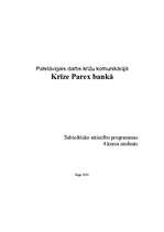 Essays 'A/s "Parex banka" krīze pamanīta arī ārpus Rīgas', 4.