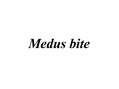 Presentations 'Medus bite', 1.