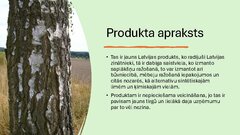 Presentations 'Ekoloģiskā saistviela no bērza tāss', 2.