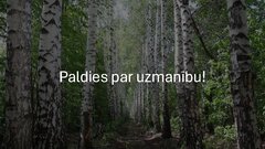 Presentations 'Ekoloģiskā saistviela no bērza tāss', 12.