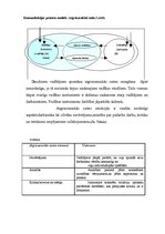 Term Papers 'Sabiedriskās attiecības integrēto mārketingu komunikāciju kompleksā autoskolas "', 60.