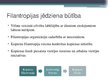 Research Papers 'Kopienu filantropija Latvijā', 11.