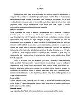 Term Papers 'AAS "Gjensidige Baltic" filiāles "X" saimnieciskās darbības analīze un pilnveido', 6.