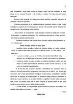 Term Papers 'Mārketinga komunikāciju plāns a/s "Dzintars" kosmētikas sērijai "NA"', 42.