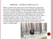 Presentations 'Desmit aizsargājamie augi un dzīvnieki Latvijā', 12.