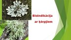 Presentations 'Bioindikācija ar ķērpjiem', 1.