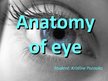 Presentations 'Anatomy of Eye', 1.
