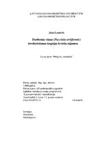Research Papers 'Dzeltenā rūsa Puccinia striiformis', 1.