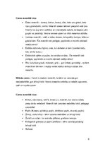 Practice Reports 'Agrīnās bērnības pedagoģiskā prakse', 6.