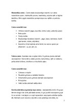 Practice Reports 'Agrīnās bērnības pedagoģiskā prakse', 7.