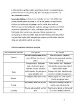 Practice Reports 'Agrīnās bērnības pedagoģiskā prakse', 13.