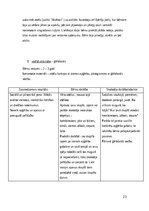 Practice Reports 'Agrīnās bērnības pedagoģiskā prakse', 23.
