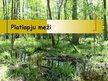 Presentations 'Platlapju meži', 1.