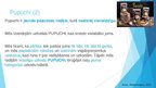 Presentations 'Uzņēmums "Pupuchi" un inovācijas', 4.