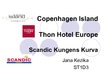 Presentations 'Scandinavian Hotels Comparison', 1.