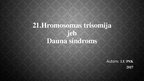 Presentations 'Dauna sindroms', 1.