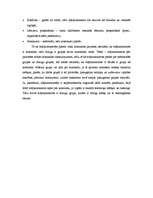 Essays 'Komandas prakse - seriāla analīze', 2.