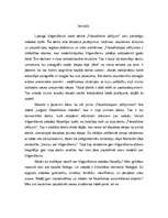 Research Papers 'Ludviga Vitgenšteina valodas filosofija', 2.