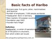 Presentations 'Business Activities of Haribo', 3.