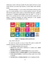 Term Papers 'Jauna ilgtspējīga biznesa modeļa izveide un attīstības perspektīvas', 16.