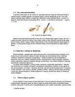 Research Papers 'Brīvās krišanas paātrinājuma aprēķināšana ar pulvera figūru palīdzības metodi', 9.
