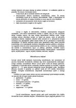 Research Papers 'Minerālresursi', 4.