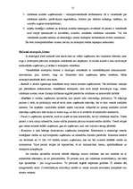 Term Papers 'Monopoluzņēmuma "Latvenergo" analīze', 17.