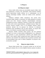 Research Papers 'Vingrojumi muguras muskulatūrai', 13.