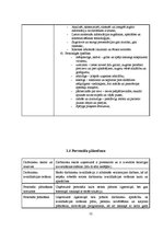 Practice Reports 'Personāla atlases un novērtēšanas projekts', 12.