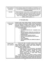 Practice Reports 'Personāla atlases un novērtēšanas projekts', 17.