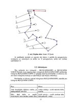 Research Papers 'Jaunaudzes kopšanas darba ieteicamās tehnoloģijas pamatojums', 17.