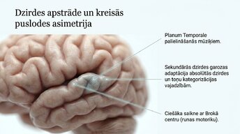 Presentations 'Kā muzikālā apmācība ietekmē kognitīvo attīstību', 5.