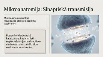 Presentations 'Kā muzikālā apmācība ietekmē kognitīvo attīstību', 7.