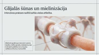 Presentations 'Kā muzikālā apmācība ietekmē kognitīvo attīstību', 8.