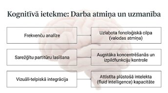 Presentations 'Kā muzikālā apmācība ietekmē kognitīvo attīstību', 10.