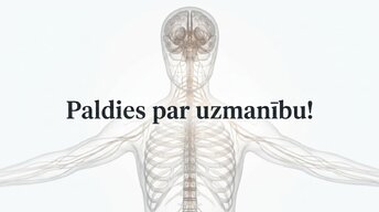 Presentations 'Kā muzikālā apmācība ietekmē kognitīvo attīstību', 16.