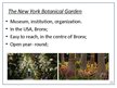 Presentations 'National Botanical Garden of Latvia. Comparison to the New York Botanical Garden', 10.