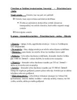 Summaries, Notes 'Galvas smadzeņu traumas', 10.